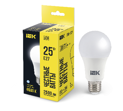 Лампа светодиодная A80 груша 25Вт 230В 6500К E27