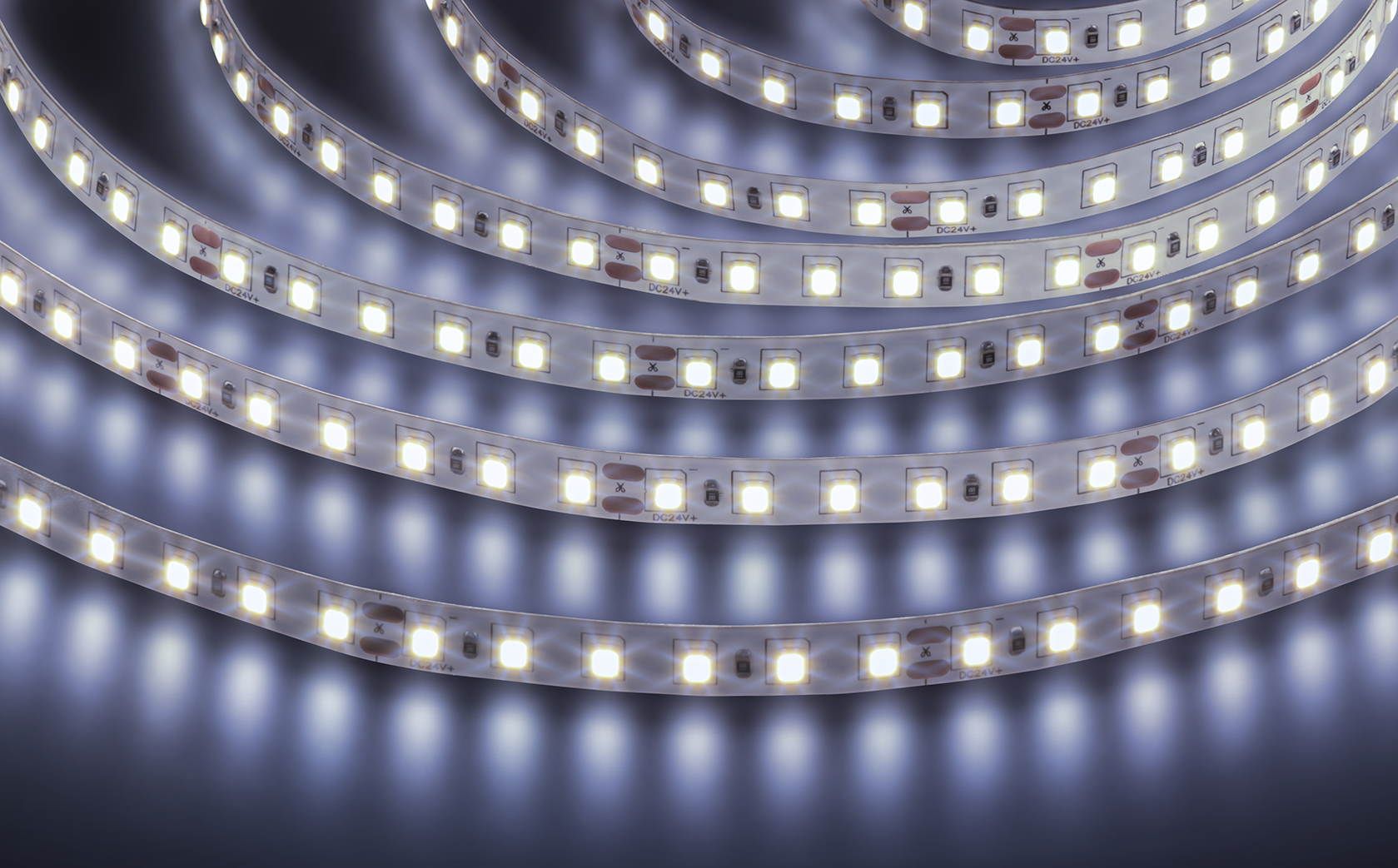 Лента светодиодная NLS-2835CW120-9.6-IP20-24V 5м