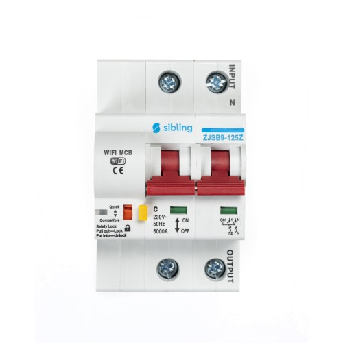 Умный автоматический выключатель (без расходомера) двухполюсный, 20А