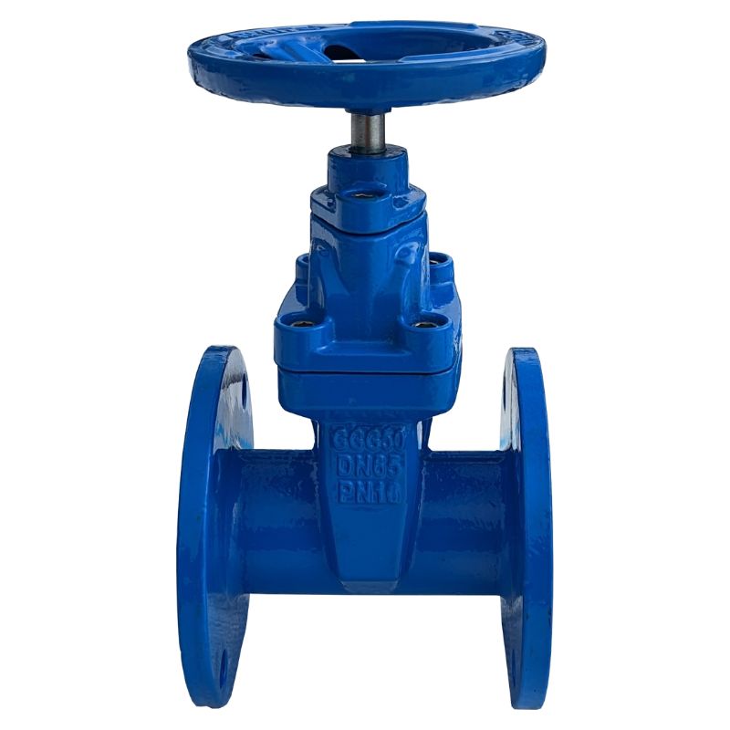 Задвижка 30ч39р аналог МЗВ Ду 50 Ру16 с обрезиненным клином